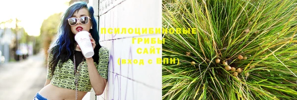 jwh Карпинск