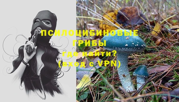 jwh Карпинск